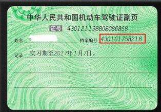 机动车驾驶证档案编号